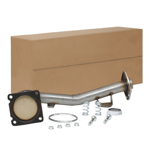 RIDEX Katalüsaator 429C0100