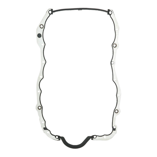 RIDEX Tiiviste, öljypohja 455G0024