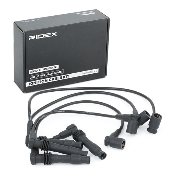 RIDEX Süütesüsteemikomplekt 685I0004