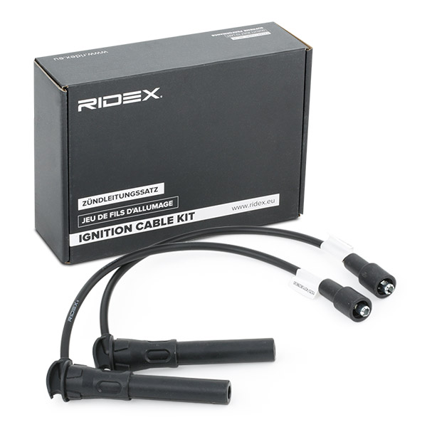 RIDEX Süütesüsteemikomplekt 685I0039