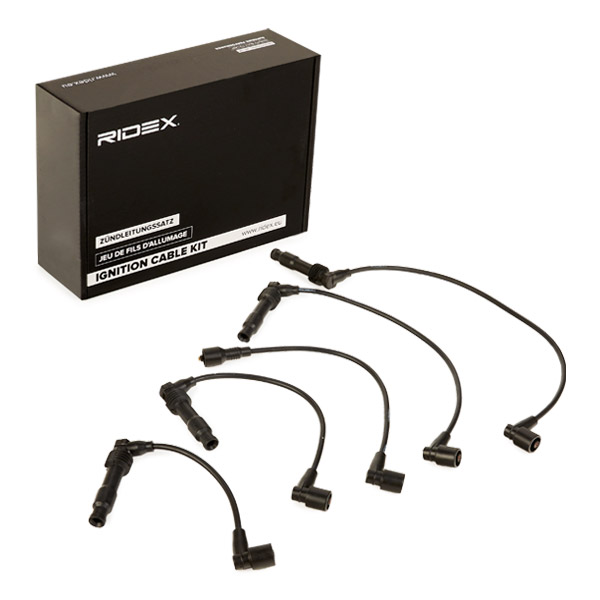 RIDEX Süütesüsteemikomplekt 685I0048