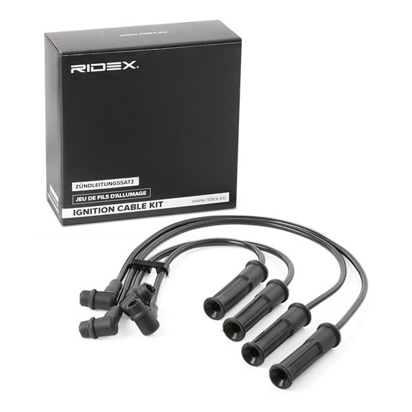 RIDEX Süütesüsteemikomplekt 685I0087