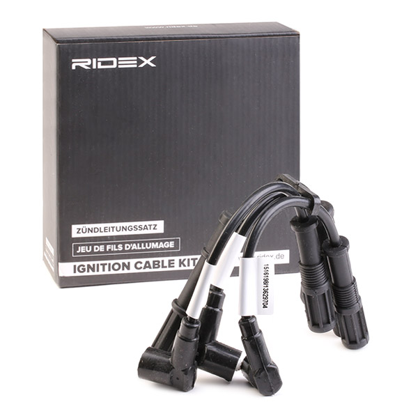 RIDEX Süütesüsteemikomplekt 685I0090