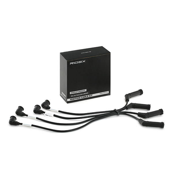 RIDEX Süütesüsteemikomplekt 685I0124