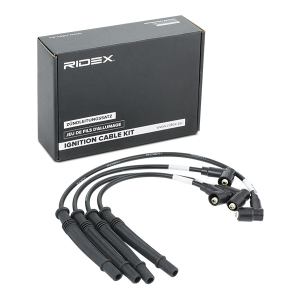 RIDEX Süütesüsteemikomplekt 685I0168