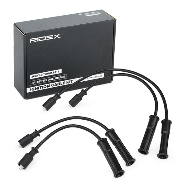RIDEX Süütesüsteemikomplekt 685I0174
