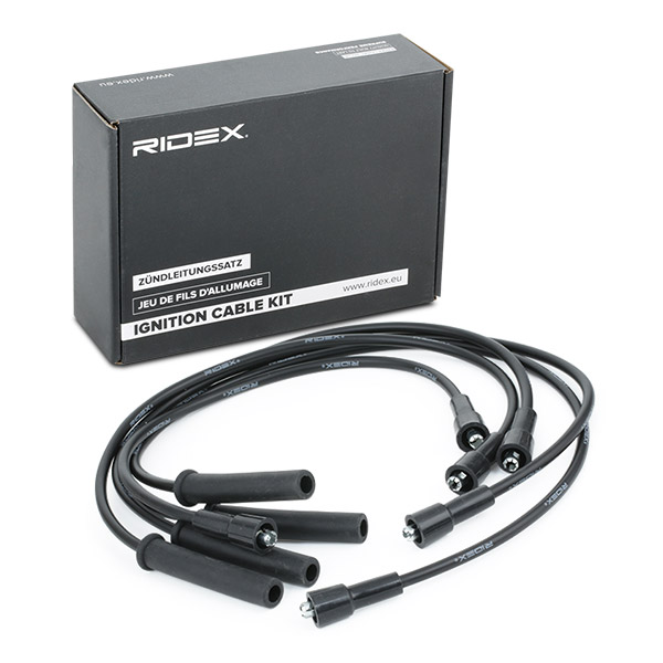 RIDEX Süütesüsteemikomplekt 685I0176