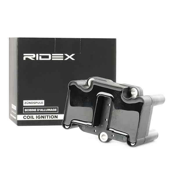 RIDEX ritė, uždegimas 689C0286