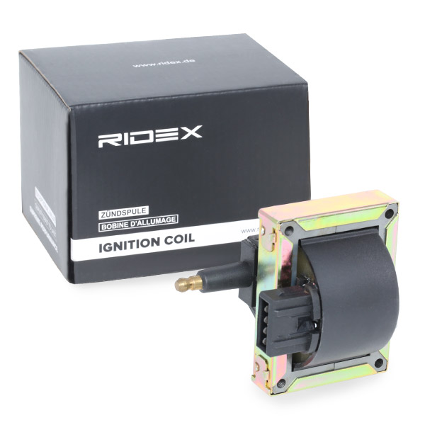RIDEX Süütepool 689C0308