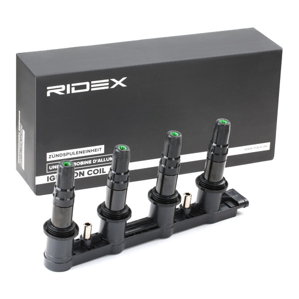 RIDEX ritė, uždegimas 689C0310