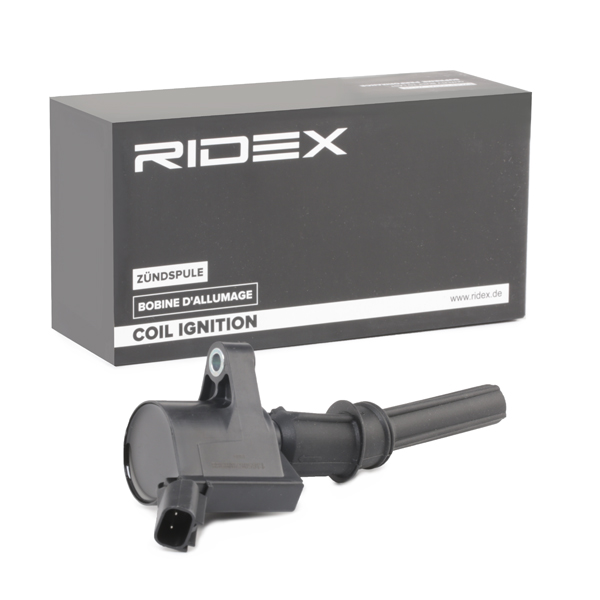 RIDEX Süütepool 689C0334