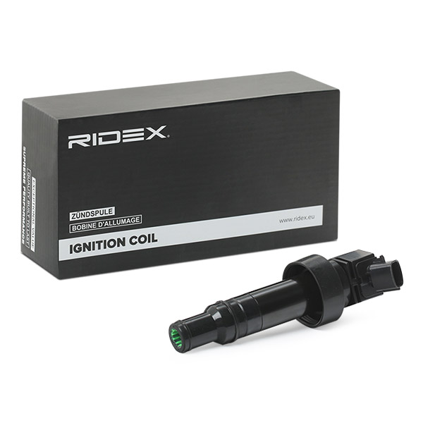 RIDEX Süütepool 689C0344