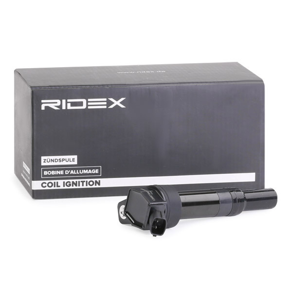 RIDEX Süütepool 689C0345
