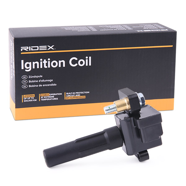 RIDEX Süütepool 689C0385
