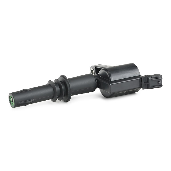 RIDEX Süütepool 689C0387