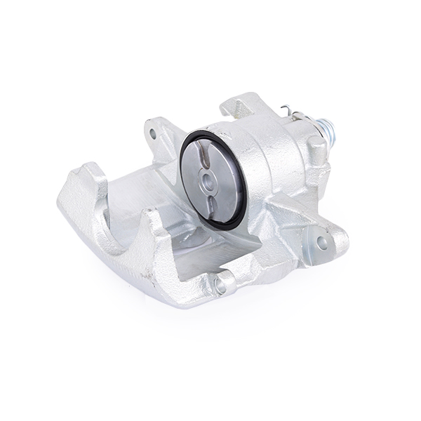 RIDEX Pidurisadul 78B0116