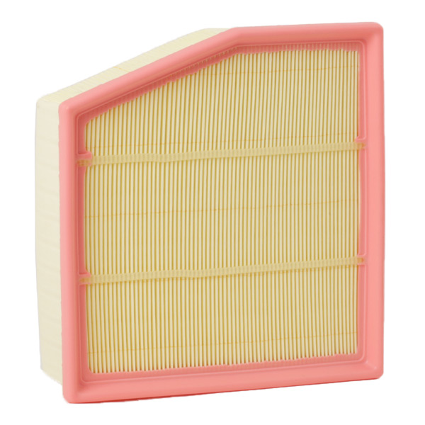 RIDEX oro filtras 8A0599