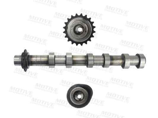 MOTIVE Kamaxel T6552