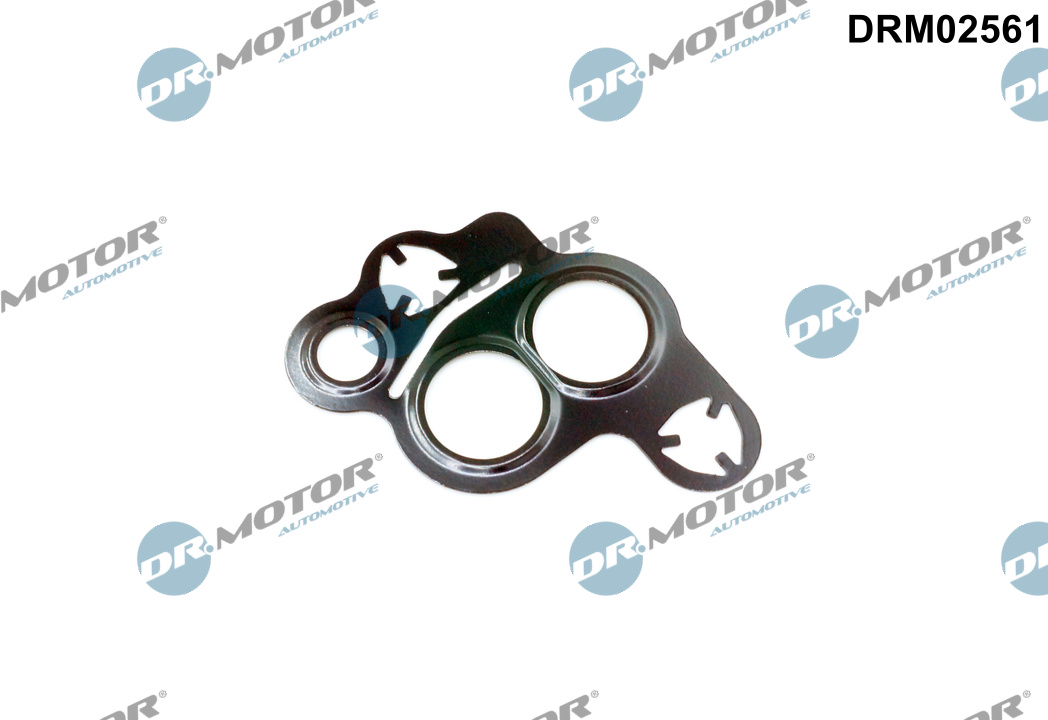 Dr.Motor Automotive Tiiviste, EGR-venttiili DRM02561