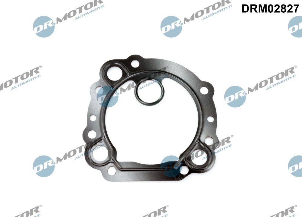 Dr.Motor Automotive Packning EGR-ventil DRM02827