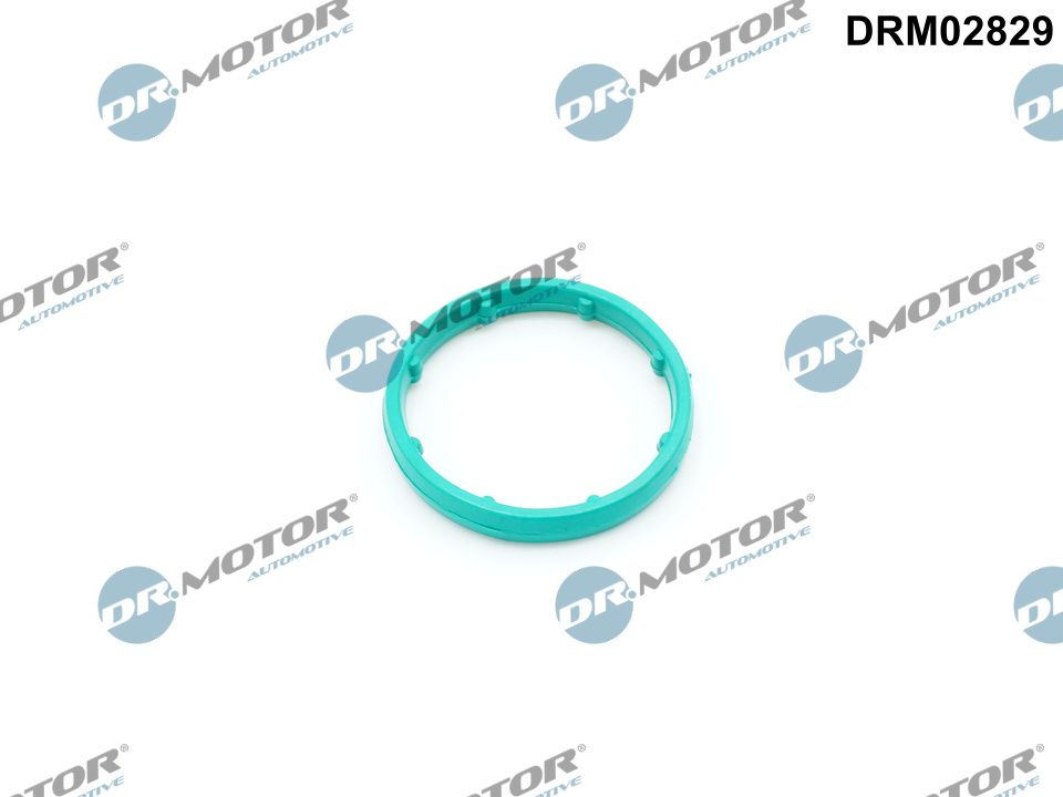 Dr.Motor Automotive Tiiviste, öljynjäähdytin DRM02829