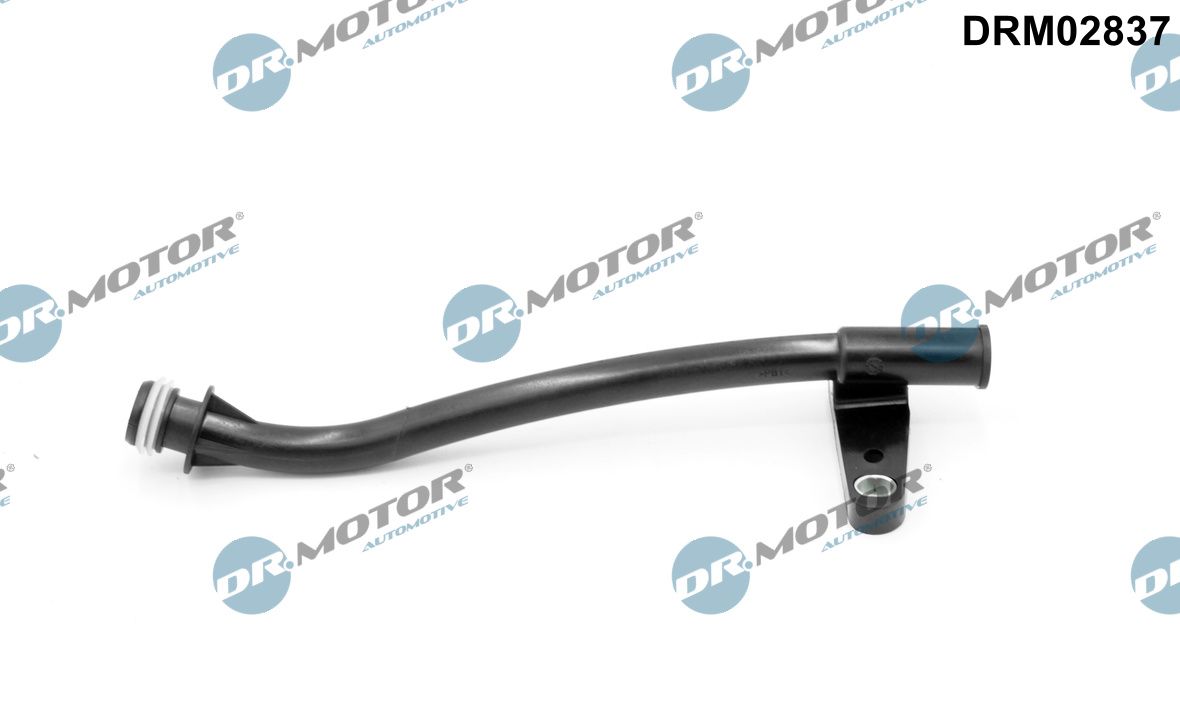 Dr.Motor Automotive Lehter, õlivarras DRM02837