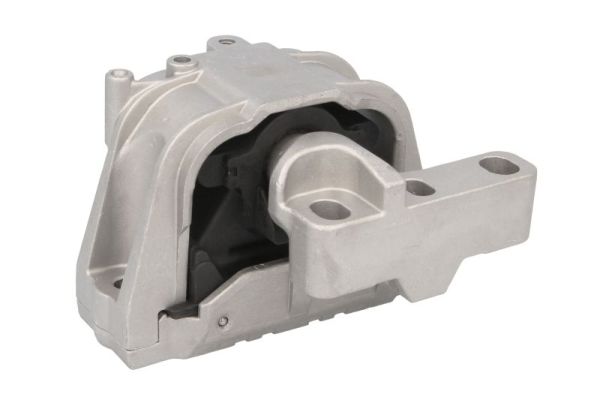 REINHOCH variklio montavimas RH11-0066