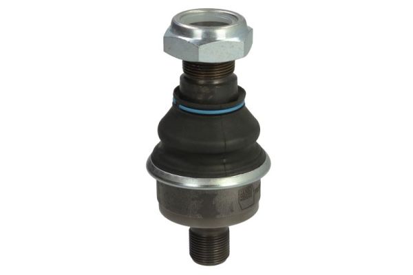 REINHOCH Käändmiku poldid RH54-A100
