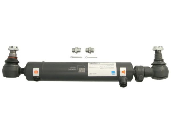 REINHOCH Cylinder roboczy, układ kierowniczy ze wspomaganiem RH59-8001