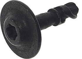 VOLKSWAGEN GROUP varžtas 8W0 805 121