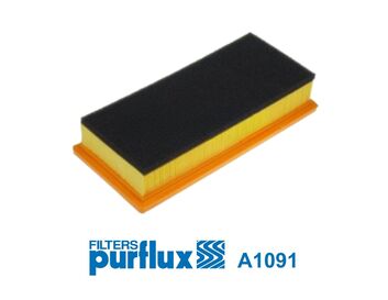 PURFLUX Õhufilter A1091