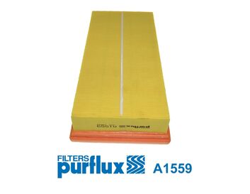 PURFLUX Õhufilter A1559