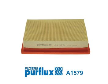 PURFLUX Õhufilter A1579
