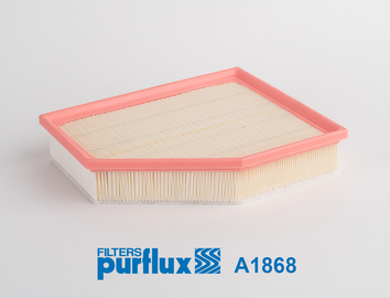 PURFLUX Õhufilter A1868