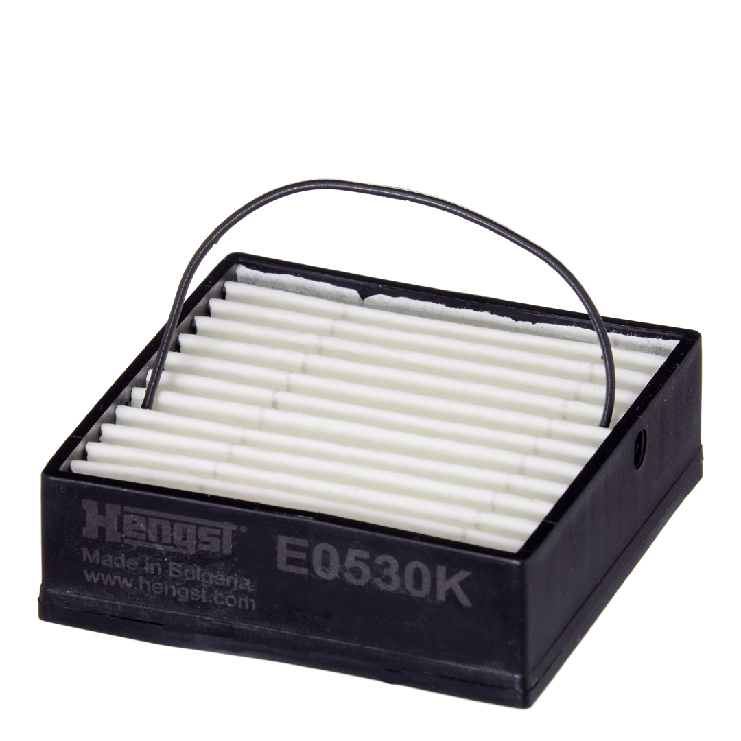 HENGST FILTER Kütusefilter E0530K