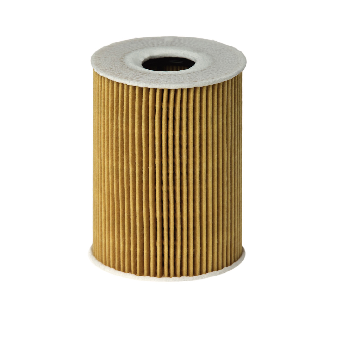 HENGST FILTER Õlifilter E113H D181