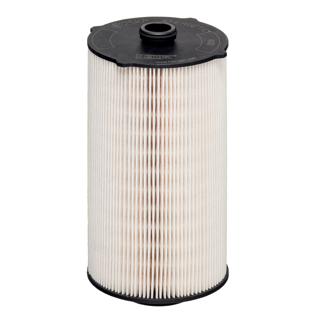 HENGST FILTER Bränslefilter E125KP D302