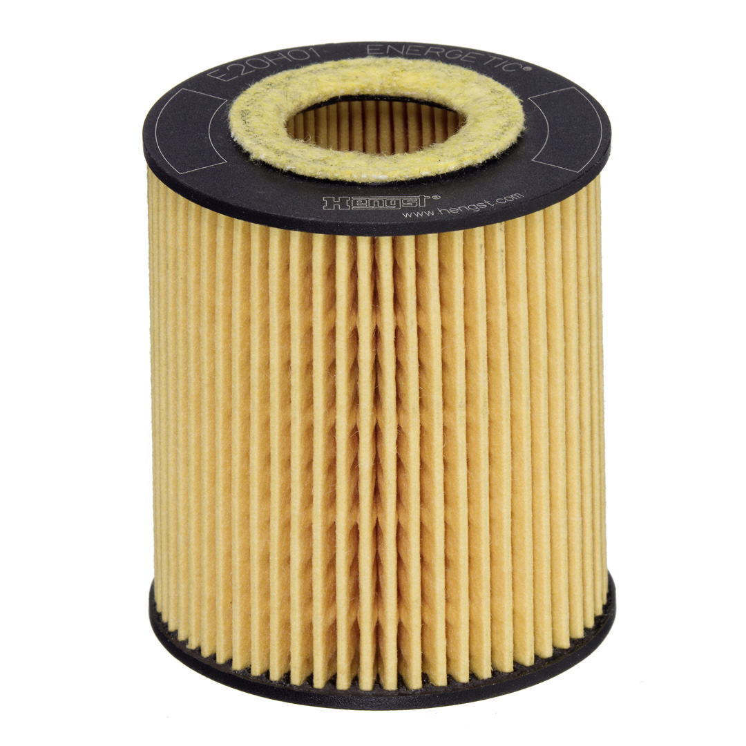 HENGST FILTER Öljynsuodatin E20H01 D293