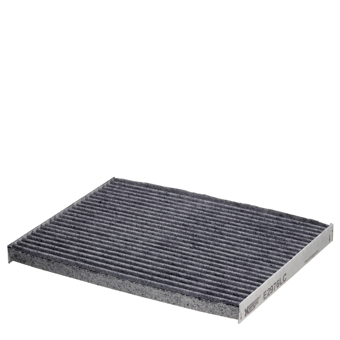 HENGST FILTER Filter,salongiõhk E2976LC