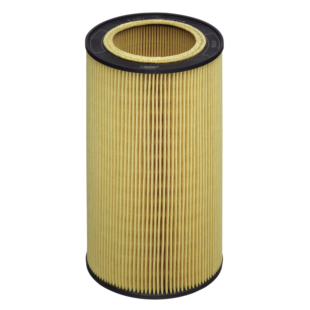 HENGST FILTER Filtr oleju E43H D213