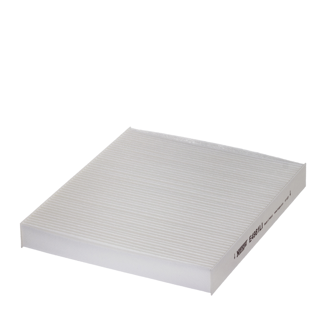 HENGST FILTER filtras, salono oras E4981LI