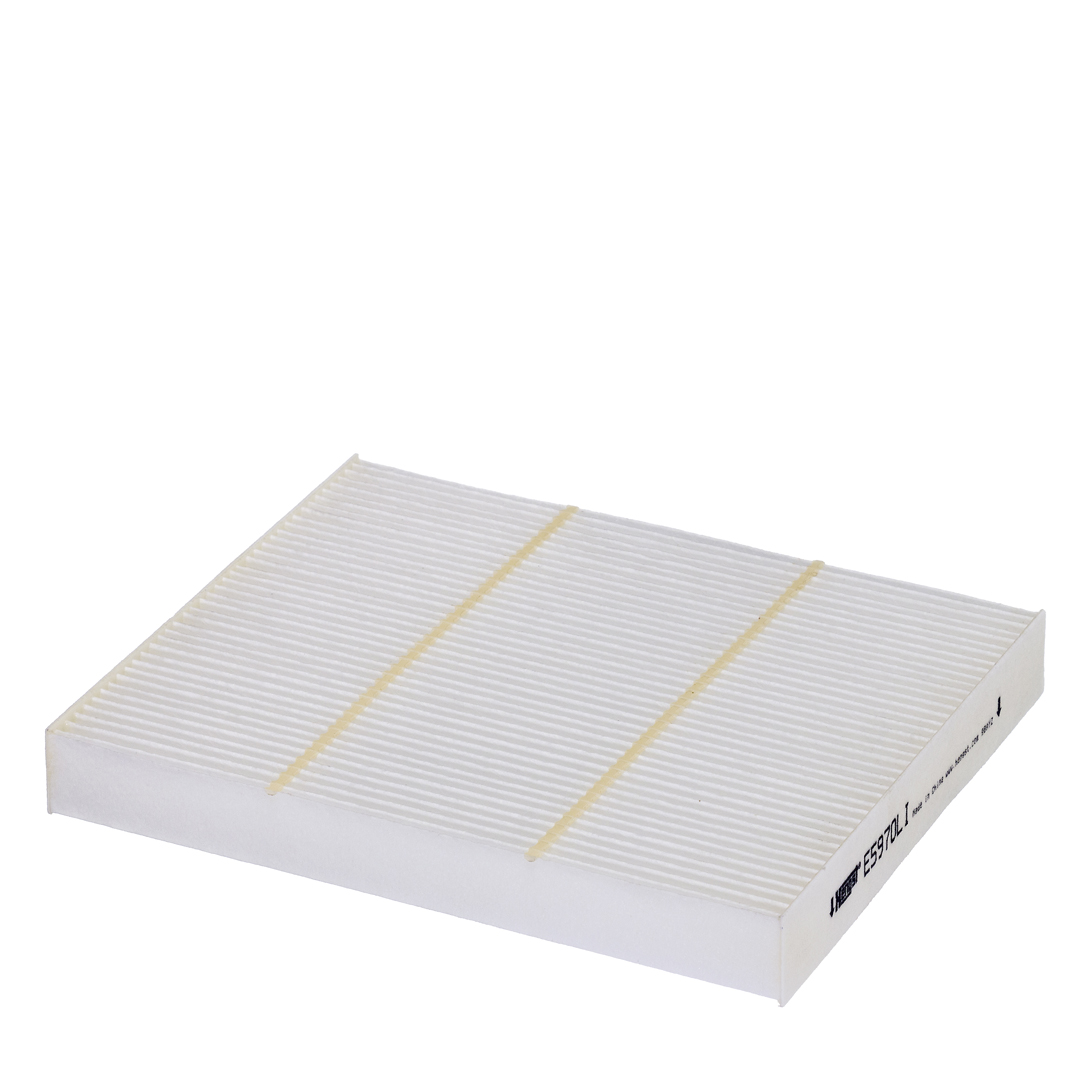 HENGST FILTER Filter,salongiõhk E5970LI