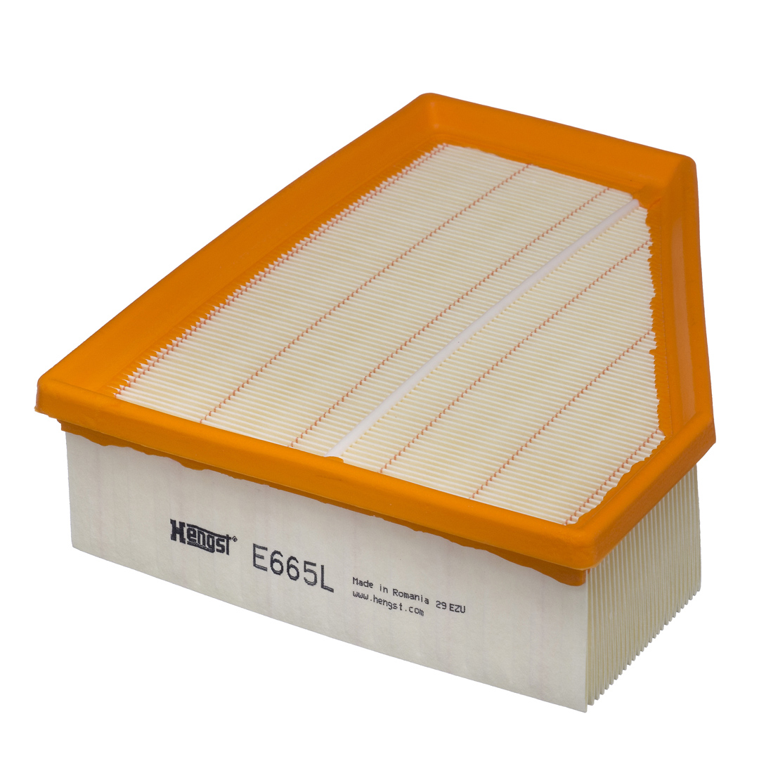HENGST FILTER oro filtras E665L