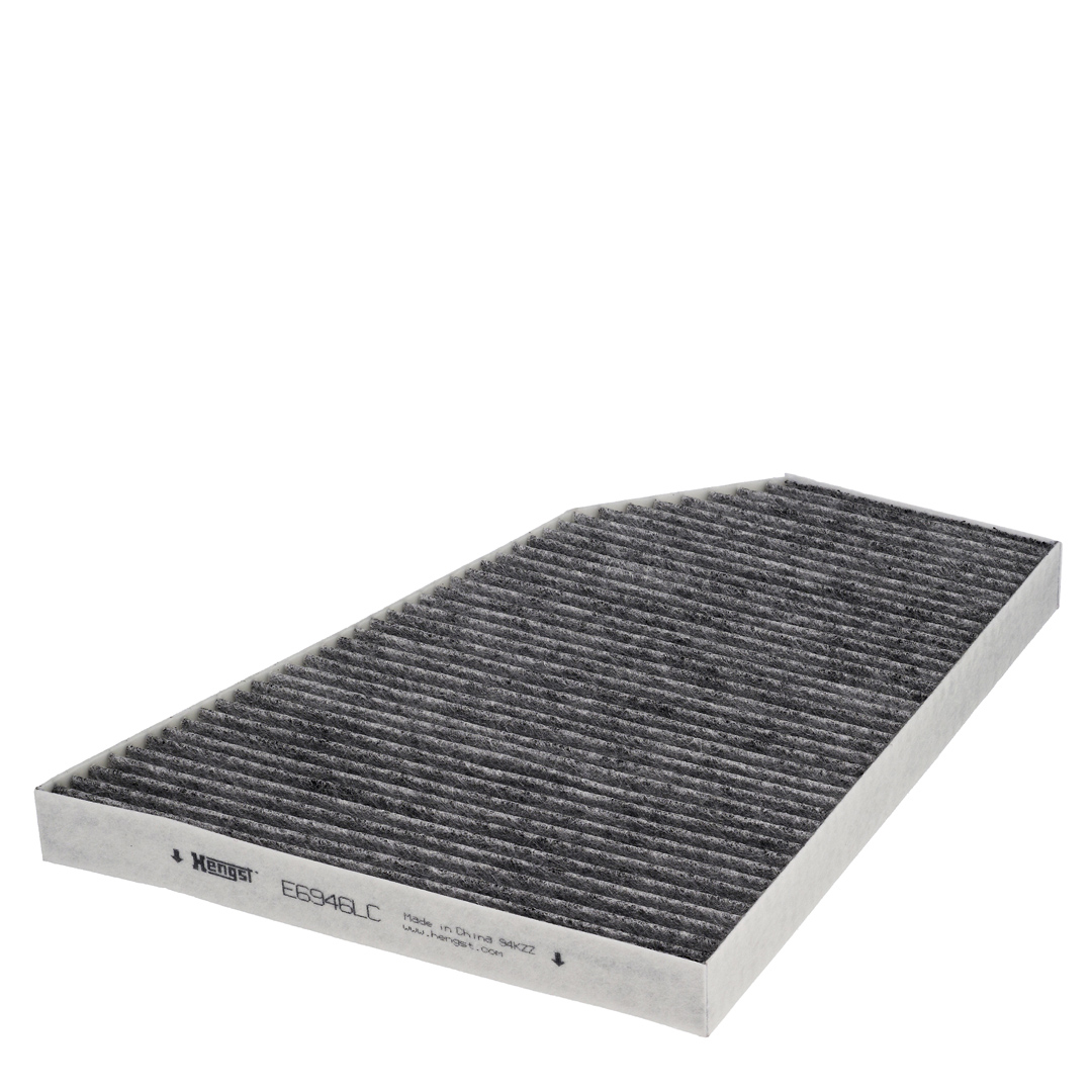 HENGST FILTER Filter,salongiõhk E6946LC