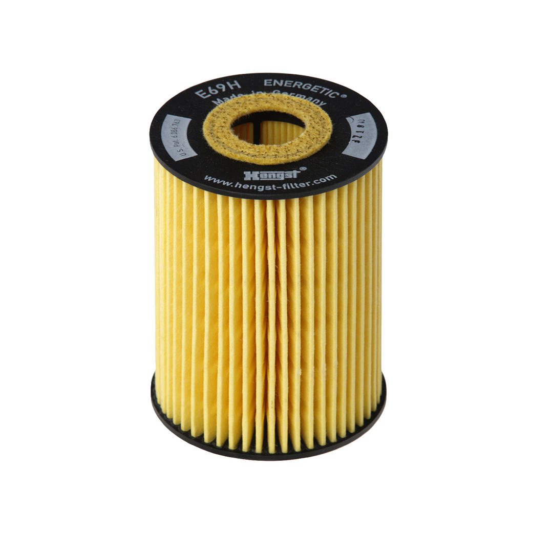 HENGST FILTER Filtr oleju E69H D81