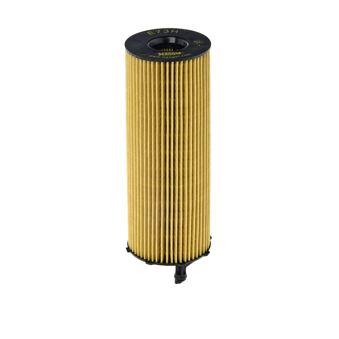 HENGST FILTER Öljynsuodatin E73H D207
