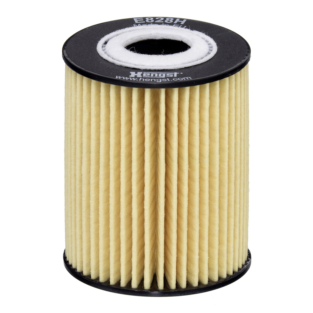 HENGST FILTER Õlifilter E828H D292