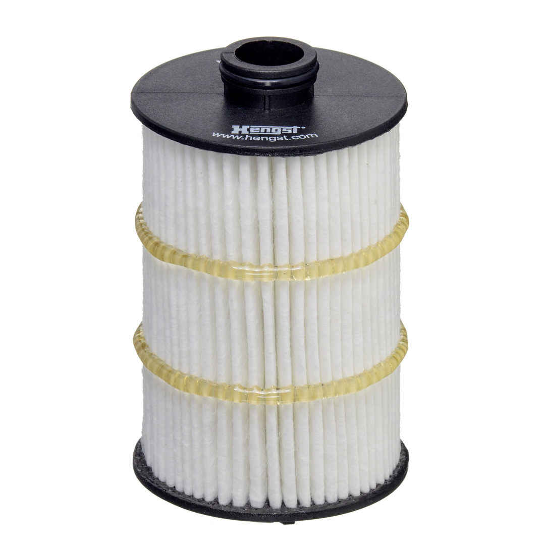 HENGST FILTER Öljynsuodatin E861H D413
