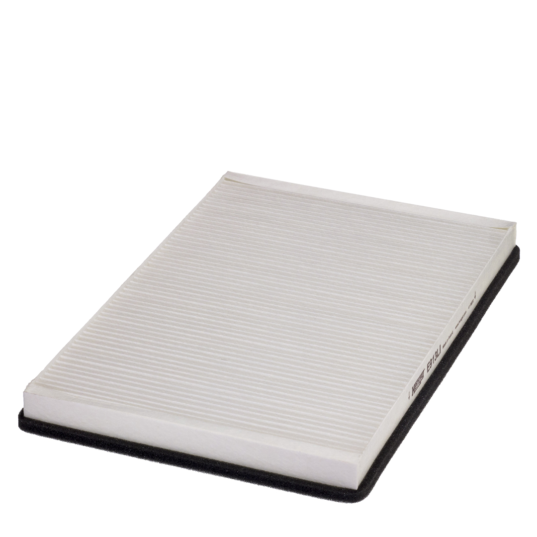 HENGST FILTER Filter,salongiõhk E913LI