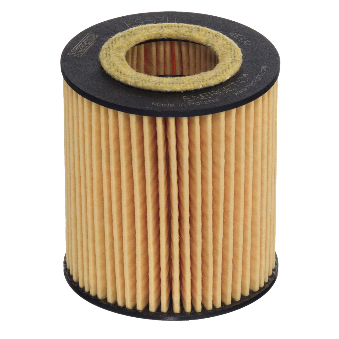 HENGST FILTER Öljynsuodatin E957H D505